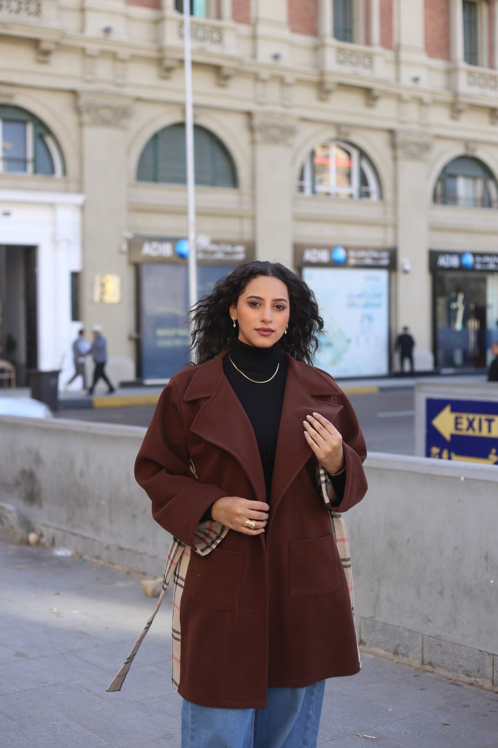 Brown Wool Coat with Burberry-Style Details