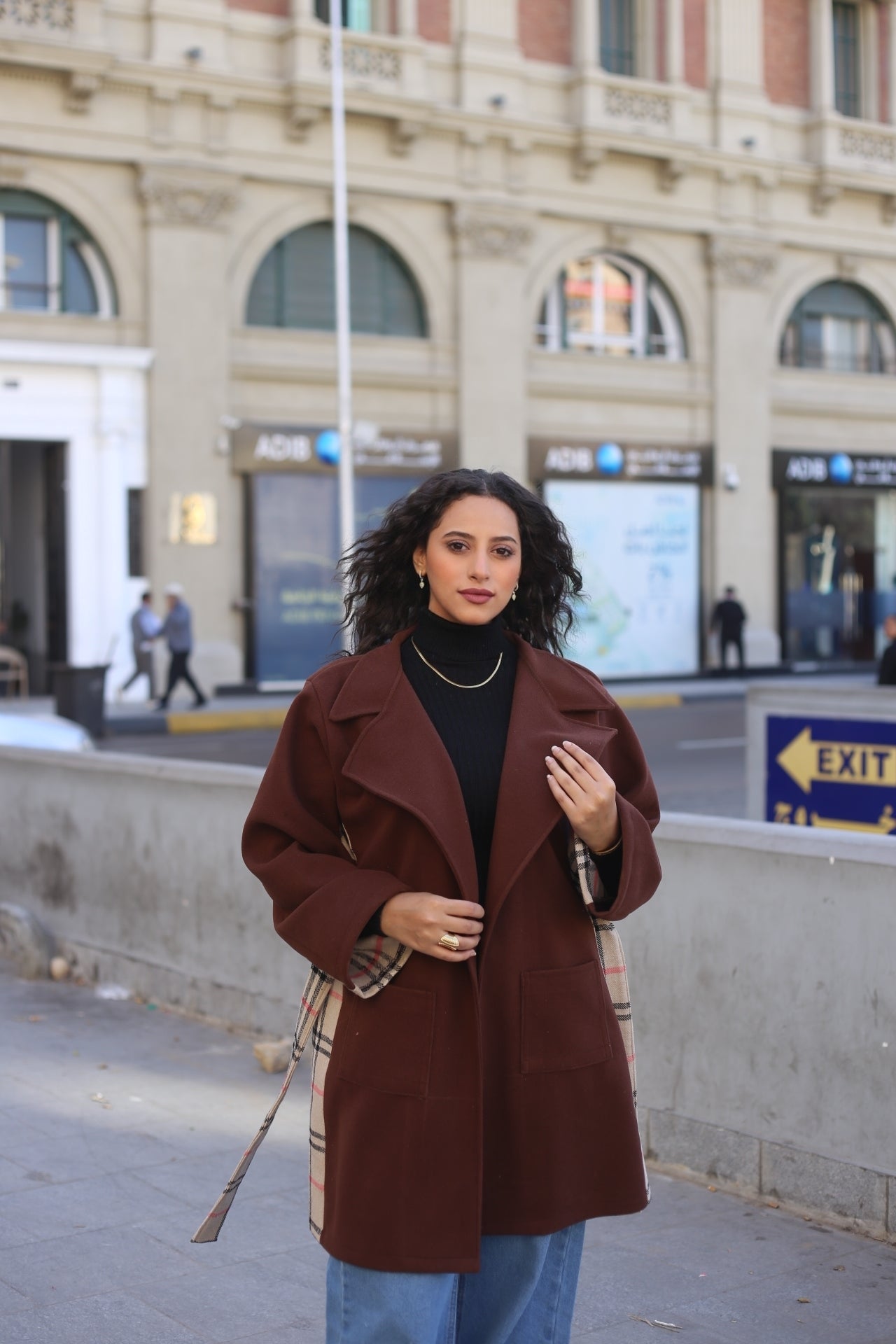 Brown Wool Coat with Burberry-Style Details